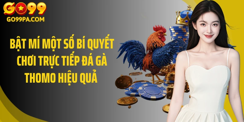 Bật mí một số bí quyết chơi trực tiếp đá gà Thomo hiệu quả 