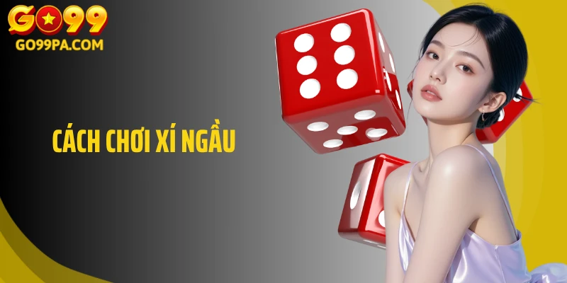 Hướng Dẫn Cách Chơi Xí Ngầu Go99 Dành Cho Người Mới