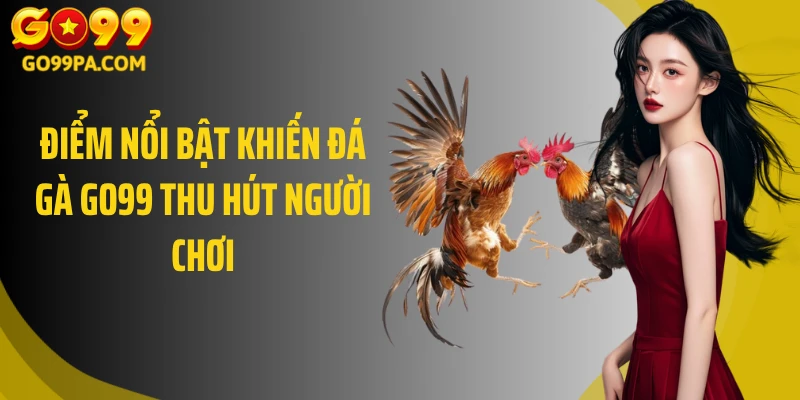 Điểm nổi bật khiến đá gà GO99 thu hút người chơi