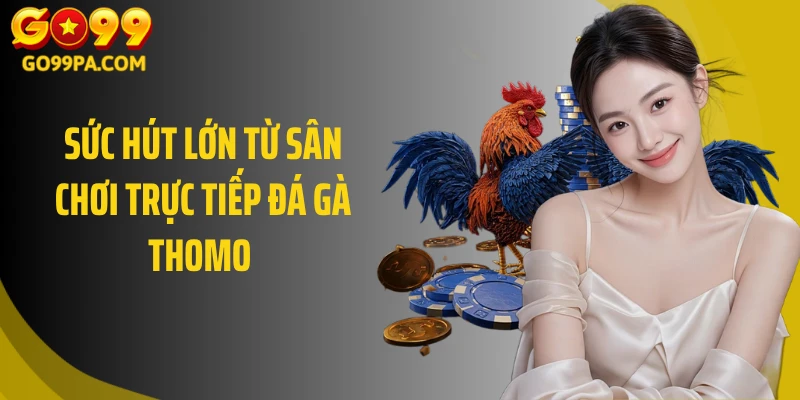 Sức hút lớn từ sân chơi trực tiếp đá gà thomo 