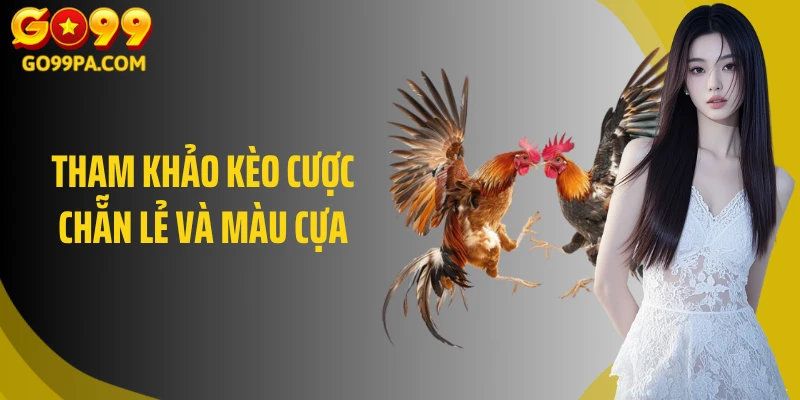 Tham khảo kèo cược chẵn lẻ và màu cựa