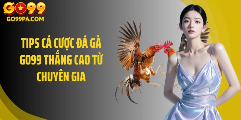 Tips cá cược đá gà GO99 thắng cao từ chuyên gia